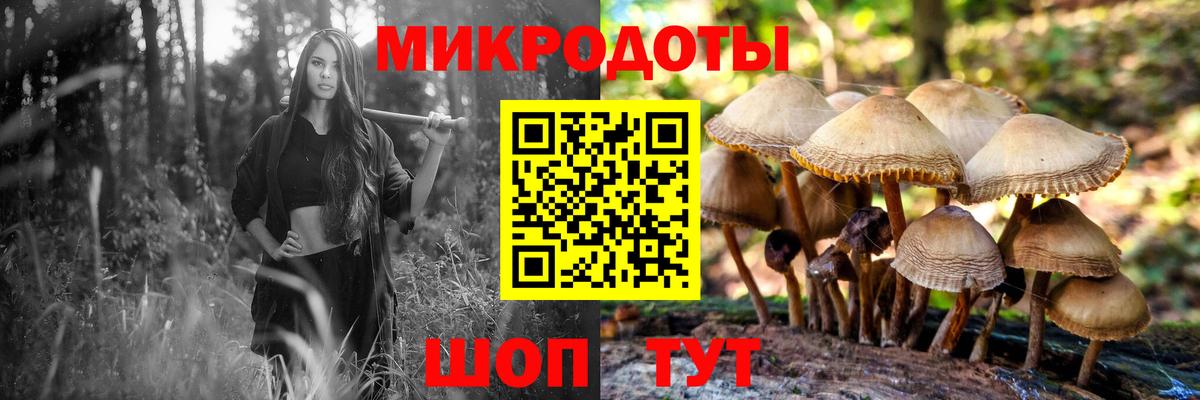 Сатка  наркота  Вход с VPN  Псилоцибиновые грибы Cubensis 